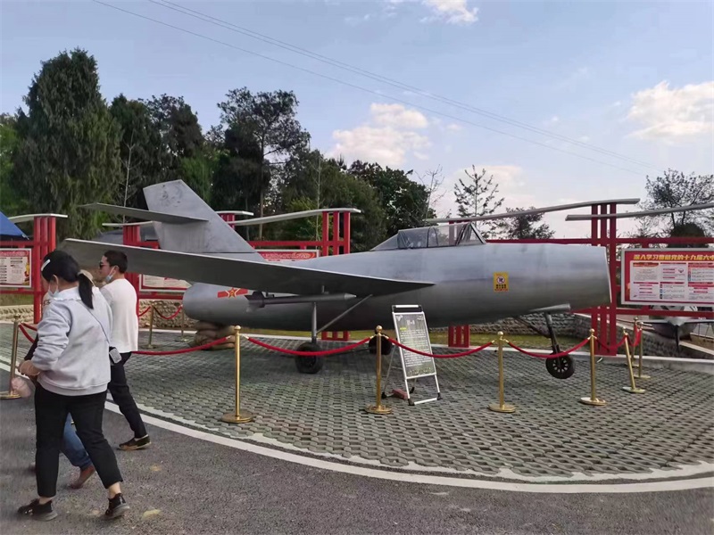 飛機(jī)模型案例
